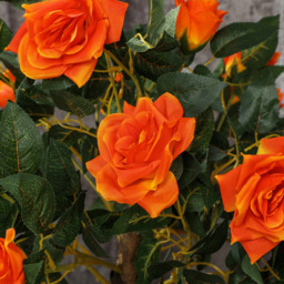Portland Orange Rose Artificial Tree in Pot 90cm 2 Pack - Size: 90 x 18 x 18cm - Multi - Wilko - thumbnail 4