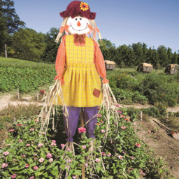 Garden Gear Scarecrow 1.83m 2 Pack - Size: 183 x 40 x 5cm - Multi - Wilko - thumbnail 5