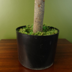 Leaf Artificial Artemisa Evergreen Shrub Plant 14cm - Size: 70 x 40 x 40cm - Wilko - thumbnail 5