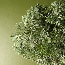 Leaf Artificial Artemisa Evergreen Shrub Plant 14cm - Size: 70 x 40 x 40cm - Wilko - thumbnail 4