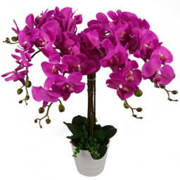 Botanik Deluxe Pink Orchid Bush Artificial Plant in Pot 3ft - Size: 85 x 70 x 70cm - Dark Pink - Wilko