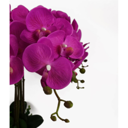 Botanik Deluxe Pink Orchid Bush Artificial Plant in Pot 3ft - Size: 85 x 70 x 70cm - Dark Pink - Wilko - thumbnail 5