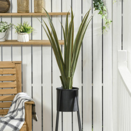 Portland Agave Succulent Artificial Plant In Pot 3ft - Multi - Wilko - thumbnail 3