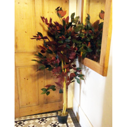 Botanik Capensia Ficus Artificial Tree in Pot 4ft - Size: 120 x 60 x 60cm - Red - Wilko - thumbnail 3