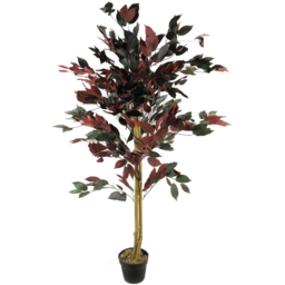 Botanik Capensia Ficus Artificial Tree in Pot 4ft - Size: 120 x 60 x 60cm - Red - Wilko - thumbnail 5