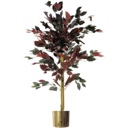 Botanik Capensia Ficus Artificial Tree in Pot 4ft - Size: 120 x 60 x 60cm - Red - Wilko