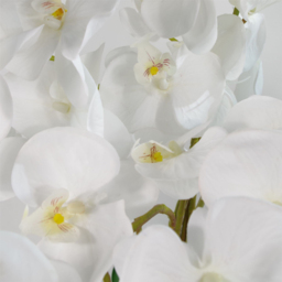 Leaf Artificial Deluxe White Bush Orchid Plant Pot 85cm - Size: 85 x 70 x 70cm - Wilko - thumbnail 4