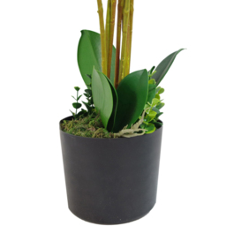 Leaf Artificial Deluxe White Bush Orchid Plant Pot 85cm - Size: 85 x 70 x 70cm - Wilko - thumbnail 3