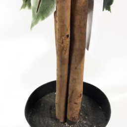 Botanik Ficus White Edge Bushy Realistic Artificial House Plant 4.3ft - Size: 130 x 60 x 60cm - Green - Wilko - thumbnail 4