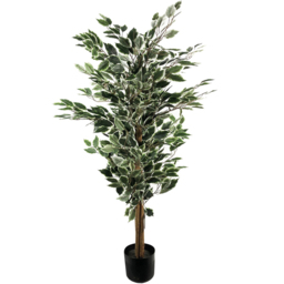 Botanik Ficus White Edge Bushy Realistic Artificial House Plant 4.3ft - Size: 130 x 60 x 60cm - Green - Wilko