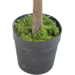 Botanik Red Green Ficus Artificial Plant with Real Wood Trunk in Pot 4.3ft - Size: 130 x 50 x 50cm - Wilko - thumbnail 3