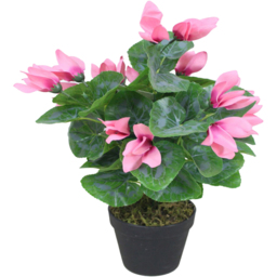 Leaf Pink Cylamen Artificial Plant in Plastic Pot 1.2ft - Size: 38 x 20 x 20cm - Wilko