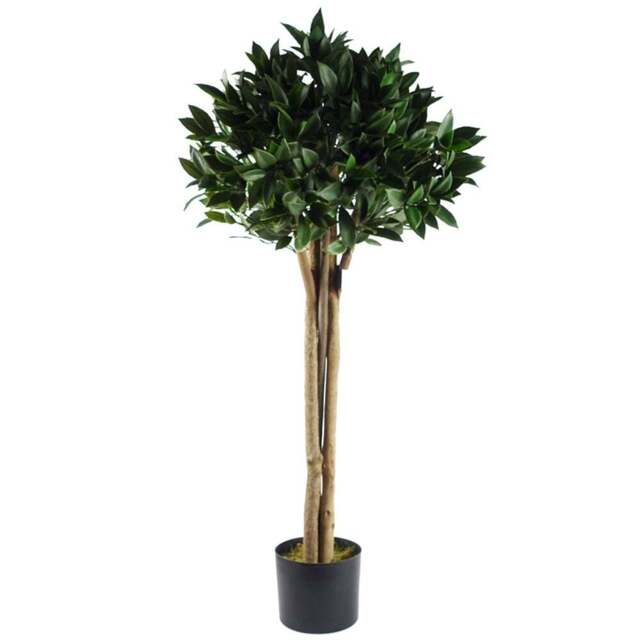 Botanik Bay Topiary Tree 120cm - Size: 120 x 50 x 50cm - Green - Wilko - image 1