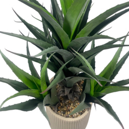 Leaf Agave Tropical Display Artificial Plant in Pot 4ft - Size: 110 x 70 x 70cm - Pink - Wilko - thumbnail 6