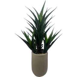 Leaf Agave Tropical Display Artificial Plant in Pot 4ft - Size: 110 x 70 x 70cm - Pink - Wilko - thumbnail 3