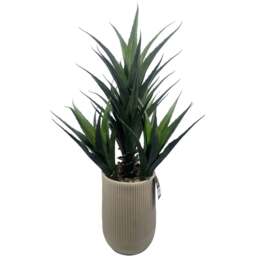 Leaf Agave Tropical Display Artificial Plant in Pot 4ft - Size: 110 x 70 x 70cm - Pink - Wilko - thumbnail 1