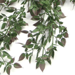 Leaf Angel Fern Hanging Artificial Plant 2ft - Size: 76 x 30 x 10cm - Green - Wilko - thumbnail 4
