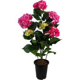 Botanik Pink Hydrangea Bush Artificial Plant in Pot 3ft - Size: 90 x 40 x 40cm - Wilko - thumbnail 1