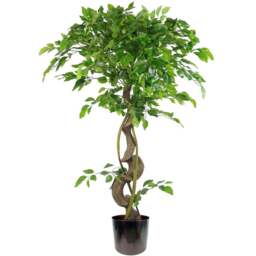 Botanik Japanese Fruticosa Ficus Artificial Tree with Twisted Trunk in Rainbow Metal Planter 4ft - Size: 120 x 60 x 60cm - Green - Wilko - thumbnail 1
