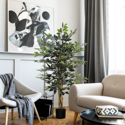 Portland Ficus Tree Artificial Plant In Pot 4.2ft - Size: 4ft - Multi - Wilko - thumbnail 5