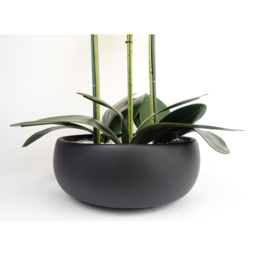 Botanik Yellow Orchid Artificial Tree in Black Ceramic Planter 60cm - Size: 60 x 40 x 40cm - Wilko - thumbnail 5
