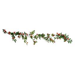 Victoria Rose Garland 188cm - Multicolour - Wilko