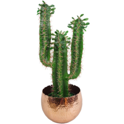 Botanik Silver Metal Curved Edge Hammered Planter 17 x 22cm - Size: 17 x 22 x 22cm - Wilko - thumbnail 3