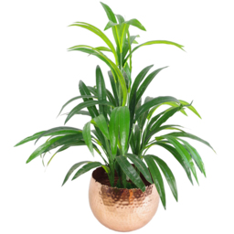 Botanik Silver Metal Curved Edge Hammered Planter 17 x 22cm - Size: 17 x 22 x 22cm - Wilko - thumbnail 5