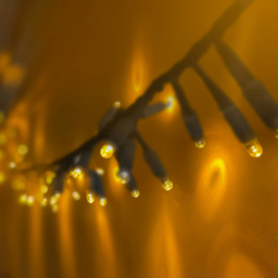 Eagle Connect 250 Gold LED Cluster Light 5m - Size: 34 x 12 x 12cm - Black - Wilko - thumbnail 6