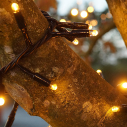 Eagle Connect 250 Gold LED Cluster Light 5m - Size: 34 x 12 x 12cm - Black - Wilko - thumbnail 4