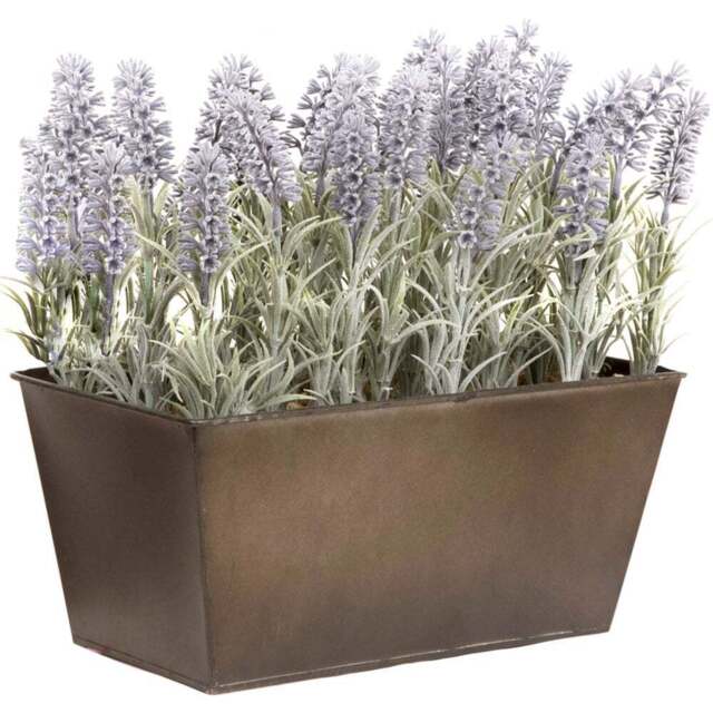 GreenBrokers Artificial Lavender Plant in Rustic Window Box 30cm - Size: 12 Inch - Purple - Wilko - image 1