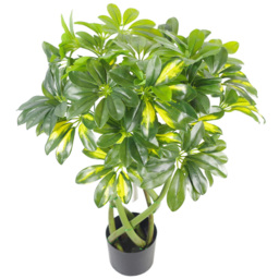 Leaf Gold Capella Arboricola Artificial Plant in Pot 70cm - Size: 70 x 50 x 50cm - Green - Wilko - thumbnail 3