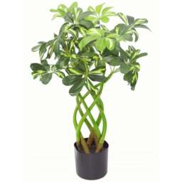 Leaf Arboricola Artificial Plant in Pot 70cm - Size: 70 x 50 x 50cm - Green - Wilko