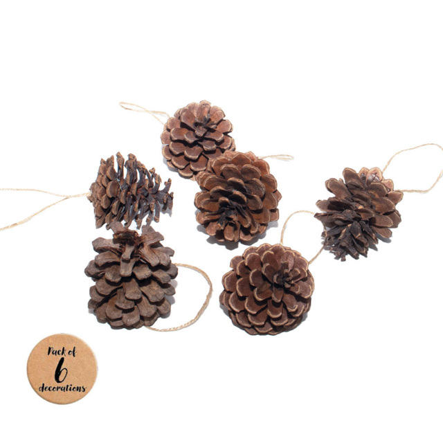 St Helens Brown Hanging Pine Cone Decoration 6 Pack - Wilko - image 1