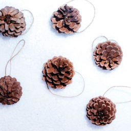 St Helens Brown Hanging Pine Cone Decoration 6 Pack - Wilko - thumbnail 6