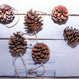 St Helens Brown Hanging Pine Cone Decoration 6 Pack - Wilko - thumbnail 5