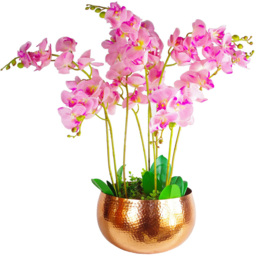 Botanik Copper Metal Straight Edge Hammered Planter 20 x 32cm - Size: 20 x 30 x 30cm - Wilko - thumbnail 3
