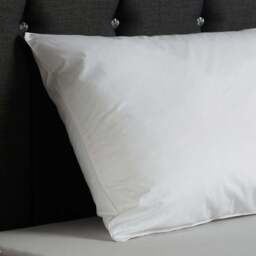 Downland White Luxury Feels Like Down Cotton Pillow - Size: Single - Wilko - thumbnail 5