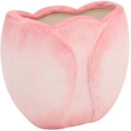 Tulip Toothbrush Holder Pink - Wilko