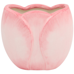 Tulip Toothbrush Holder Pink - Wilko - thumbnail 4