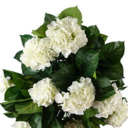 Botanik White Hydrangea Bush Artificial Plant in Pot 2.5ft - Size: 75 x 50 x 50cm - Wilko - thumbnail 4
