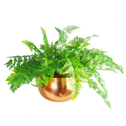 Leaf Hammered Copper Metal Bowl 32 x 20cm - Size: 20 x 30 x 30cm - Orange - Wilko - thumbnail 4