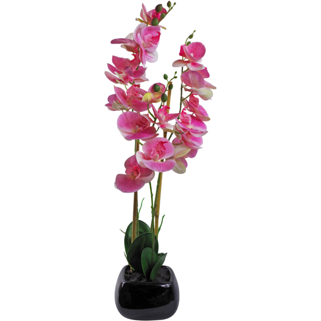 Leaf Light Pink Artificial Orchid in Black Ceramic Planter 2.2ft - Size: 70 x 30 x 30cm - Wilko - image 1