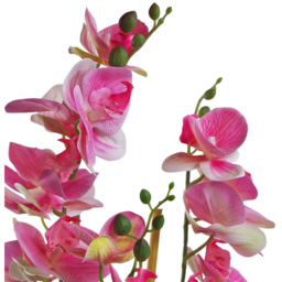 Leaf Light Pink Artificial Orchid in Black Ceramic Planter 2.2ft - Size: 70 x 30 x 30cm - Wilko - thumbnail 4