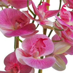 Leaf Light Pink Artificial Orchid in Black Ceramic Planter 2.2ft - Size: 70 x 30 x 30cm - Wilko - thumbnail 5