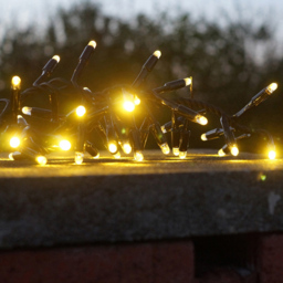 Eagle Connect 1000 Warm White LED Black Cluster Light 20m - Size: 0 x 2000 x 0cm - Wilko