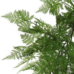 Botanik Moss Base Natural Fern Artificial Tree in Pot 3ft - Size: 90 x 50 x 50cm - Green - Wilko - thumbnail 4