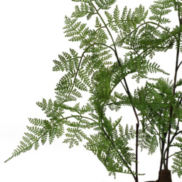 Botanik Moss Base Natural Fern Artificial Tree in Pot 3ft - Size: 90 x 50 x 50cm - Green - Wilko - thumbnail 6