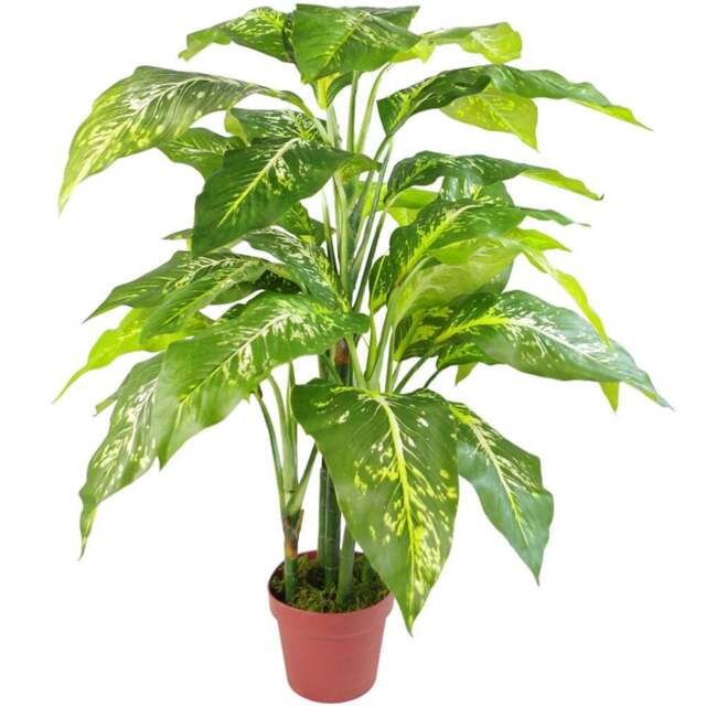 Botanik Spotted Aglaonema Artificial Plant in Pot 3.3ft - Size: 100 x 70 x 70cm - Green - Wilko - image 1