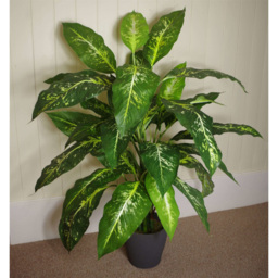 Botanik Spotted Aglaonema Artificial Plant in Pot 3.3ft - Size: 100 x 70 x 70cm - Green - Wilko - thumbnail 3